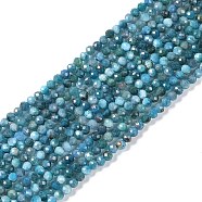 Natural Apatite Beads Strands, Faceted, Round, 3x2.5mm, Hole: 0.6mm, about 151~153pcs/strand, 15.35''(39cm)(G-P542-A01-02)