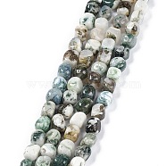 Natural Tree Agate Beads Strands, Nuggets Tumbled Stone, 6.5~15x7~14x7~14mm, Hole: 1~1.4mm, about 32~33pcs/strand, 15.16~ 15.75 inch(38.5~40cm)(G-C038-02O)
