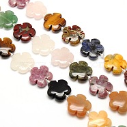Mixed Natural Gemstone Flower Beads Strands, 15x5.5mm, Hole: 1mm, about 27pcs/strand, 15.74 inch(G-L241B-07)