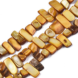 Natural Trochid Shell/Trochus Shell Beads Strands, Dyed, Rectangle, Dark Goldenrod, 6~11x6~36x1~7mm, Hole: 1mm, about 45~55pcs/strand, 14.96 inch~15.35 inch(38cm~39cm)(SHEL-S258-082-B09)