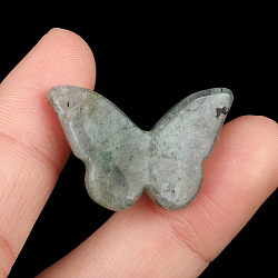 Natural Labradorite Pendants, Butterfly Charms, 20x30x7mm(PW-WG51197-11)