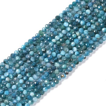 Natural Apatite Beads Strands, Faceted, Round, 3x2.5mm, Hole: 0.6mm, about 151~153pcs/strand, 15.35''(39cm)