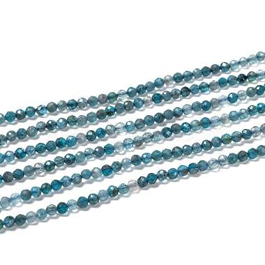 Natural Apatite Beads Strands(G-K185-02)-2