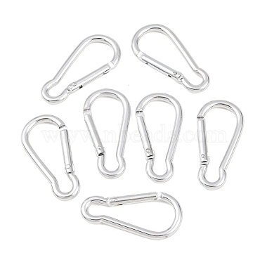 Aluminum Carabiners(EA026-01)-4
