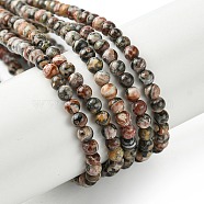 Natural Leopard Skin Jasper Beads Strands, Round, 3mm, Hole: 0.5mm, about 127pcs/strand, 15.75''(40cm)(G-K365-C01-01)