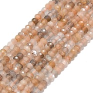 Natural Peach Moonstone Beads Strands, Faceted, Rondelle, 2~2.5x2mm, Hole: 0.5mm, about 223~226pcs/strand, 14.96~15.16 inch(38~38.5cm)(G-G106-A34-01)