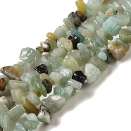 Natural Flower Amazonite Chips Beads Strands, 5~8x5~8mm, Hole: 1mm, about 31.5 inch(G-M205-12-01)