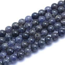 Natural Iolite/Cordierite/Dichroite Beads Strands, Round, 8~8.5mm, Hole: 0.8mm, about 50pcs/strand, 15.55 inch(39.5cm)(G-L552H-11B)