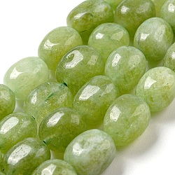 Natural Malaysia Jade Beads Strands, Oval, Dyed, Yellow Green, 11~13x9~10x8.5~10mm, Hole: 1mm, about 16pcs/strand, 7.28~7.48 inch(18.5~19cm)(G-P528-N01-01)