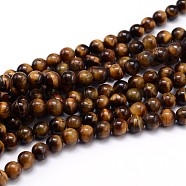 Natural Tiger Eye Beads Strands, Grade A, Round, 10mm, Hole: 1mm, about 40pcs/strand, 16 inch(G-J303-11-10mm)