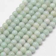 Natural Amazonite Beads Strands, Round, 3mm, Hole: 0.5mm, about 125pcs/strand(G-N0197-02-3mm)