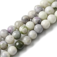 Natural Peace Jade Beads Strands, Round, 4~4.5mm, Hole: 1mm, about 90~91pcs/strand, 14.53~14.69''(36.9~37.3cm)(G-E598-04D)