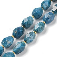 Natural Apatite Beads Strands, Faceted, Oval, with Seed Beads, 12~16x10~14mm, Hole: 1mm, about 22~25pcs/strand, 15.16''~15.63''(38.5~39.7cm)(G-P541-A01-06)