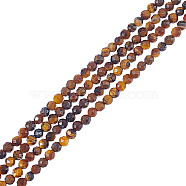 2 Strands Natural Tiger Eye Beads Strands, Faceted Round, 3mm, Hole: 0.8mm, about 126pcs/strand, 15''(38.1cm)(G-NB0004-15)