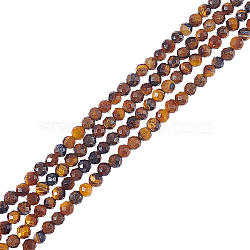 2 Strands Natural Tiger Eye Beads Strands, Faceted Round, 3mm, Hole: 0.8mm, about 126pcs/strand, 15''(38.1cm)(G-NB0004-15)
