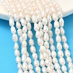 Natural Cultured Freshwater Pearl Beads Strands, Rice, Grade 3A, Beige, 5~5.5mm, Hole: 0.5mm, about 48pcs/strand, 13.86''(35.2cm)~14.06''(35.7cm)(PEAR-D003-01D-14)