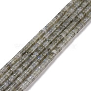 Natural Labradorite Beads Strands, Flat Round, 4x2mm, Hole: 1mm, about 169pcs/strand, 14.96''(38cm)(G-P468-16)