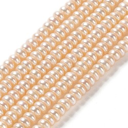 Natural Cultured Freshwater Pearl Beads Strands, Rondelle, PapayaWhip, 3.5~4x2~3mm, Hole: 0.7mm, about 131~133pcs/strand, 15.35''(39cm)(PEAR-J007-45)
