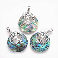 Natural Paua Shell Pendants, with Rhinestone and Platinum Tone Brass Findings, Flat Round with Tree of Life, 32.5~33x27.5~28x5~6mm, Hole: 5x7mm(G-F573-D04)