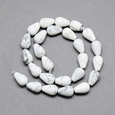 Natural Howlite Gemstone Bead Strands(X-G-T004-19)-2