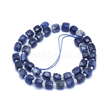 Natural Sodalite Beads Strands(G-L552D-04A)-3