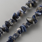 Natural Blue Spot Jasper Beads Strands, Chip, 3~12x3~12x3~12mm, Hole: 1mm, about 139~168pcs/strand, 30.71''~33.07''(78~84cm)(G-WH0035-25B)