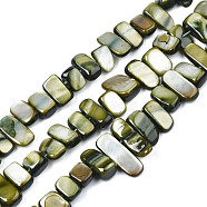 Natural Trochid Shell/Trochus Shell Beads Strands, Dyed, Rectangle, Dark Olive Green, 6~11x6~36x1~7mm, Hole: 1mm, about 45~55pcs/strand, 14.96 inch~15.35 inch(38cm~39cm)(SHEL-S258-082-B01)