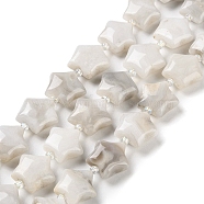Natural White Crazy Agate Beads Strands, with Seed Beads, Puffed Star, 14~15.5x15~16x6.5~7mm, Hole: 1mm, about 24~25pcs/strand, 15.55''~15.95''(39.5~40.5cm)(G-NH0005-019)