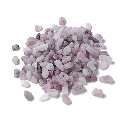 Acrylic Beads, Imitation Gemstone, Chip, Thistle, 4~13x4~6x4~5mm, Hole: 1.2mm(OACR-C020-01A)