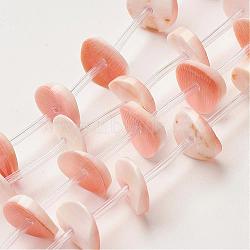 Natural Freshwater Shell Beads Strands, Dyed, Disc/Flat Round, Heishi Beads, PeachPuff, 12x1mm, Hole: 1mm, about 24pcs/strand, 15.3 inch(39cm)(SSHEL-G018-02)