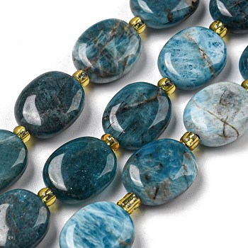 Natural Apatite Beads Strands, with Seed Beads, Flat Oval, 12x10x5mm, Hole: 1.2mm, about 56pcs/strand, 15.35''(39cm)