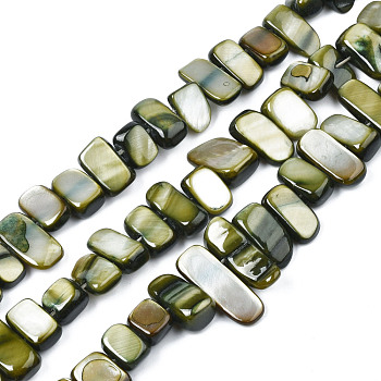 Natural Trochid Shell/Trochus Shell Beads Strands, Dyed, Rectangle, Dark Olive Green, 6~11x6~36x1~7mm, Hole: 1mm, about 45~55pcs/strand, 14.96 inch~15.35 inch(38cm~39cm)