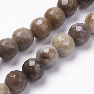 Natural Silver Leaf Jasper Beads Strands, Round, Faceted, Saddle Brown, 8mm, Hole: 1mm, about 26pcs/strand, 7.9 inch(20.3cm)(G-K181-8mm-O01)