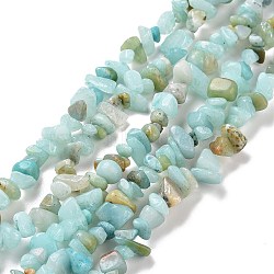 Natural Amazonite Chips Beads Strands, 5~8x5~8mm, Hole: 1mm, about 31.5 inch(X-G-M205-12A)