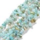 Natural Amazonite Chips Beads Strands(X-G-M205-12A)-1
