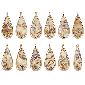 12Pcs Alloy Resin Pendants with Natural Paua Shell, Teardrop Charms, Light Gold, 23x10x2mm, Hole: 1mm