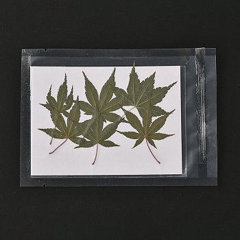 Maple Leaf Embossing Dried Flower, for Cellphone, Photo Frame, Scrapbooking DIY Handmade Craft, Olive Drab, 55~82x35~57mm, 6pcs/bag