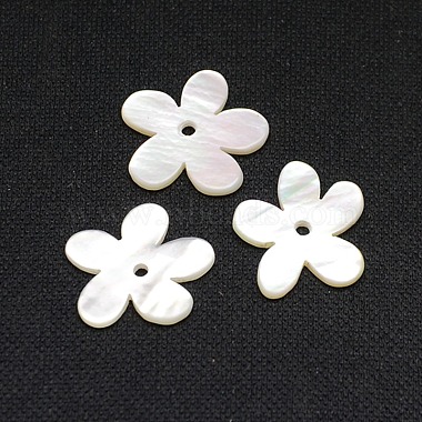 Natural White Shell Beads(X-SSHEL-I008-03)-2