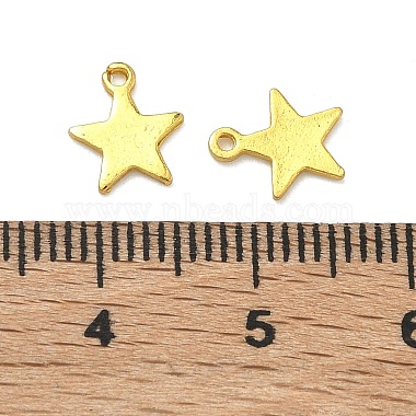 Alloy Pendants(PALLOY-F321-01B-G)-3