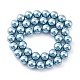Shell Pearl Beads Strands(BSHE-K015-10mm-02)-4