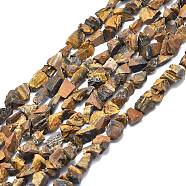 Raw Rough Natural Tiger Eye Beads Strands, Nuggets, 6~27x4~17x3.5~8mm, Hole: 1mm, about 23~46pcs/strand, 15.35 inch(39cm)(G-I279-B18)
