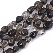 Natural Smoky Quartz Beads Strands, Nuggets, Tumbled Stone, 5~11x5~8x3~6mm, Hole: 0.8mm, about: 52~56pcs/Strand, 15.94 inch(40.5cm)(G-S363-040)