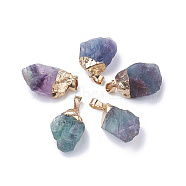Natural Fluorite Pendants, with Iron Findings, Plated Gold, Nuggets, 25~31x15~22x12~16mm, Hole: 6x4mm(G-S299-25)