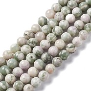 Natural Peace Jade Beads Strands, Round, 8mm, Hole: 1.2mm, about 46pcs/strand, 14.96 inch(38cm)(G-G905-07)