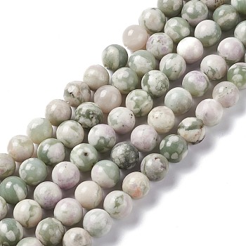 Natural Peace Jade Beads Strands, Round, 8mm, Hole: 1.2mm, about 46pcs/strand, 14.96 inch(38cm)