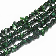 Freshwater Shell Beads Strands, Dyed, Chip, Dark Green, 4~14x4~8x1~8mm, Hole: 1mm, about 210~250pcs/strand, 31.4 inch(X-SHEL-S270-03)