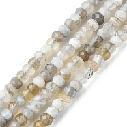 Natural Botswana Agate Beads Strands, Faceted, Rondelle, 3x2mm, Hole: 0.8mm, about 196pcs/strand, 15.35 inch(39cm)(G-F748-D01)