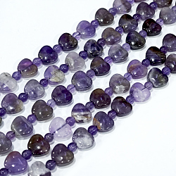 Natural Amethyst Beads Strands, Apple, 9x10.5x5mm, Hole: 1mm, about 35pcs/strand, 15.47''~15.67'' (39.3~39.8cm)(G-C062-A08-01A)