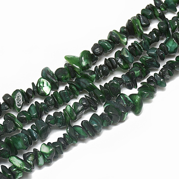 Freshwater Shell Beads Strands, Dyed, Chip, Dark Green, 4~14x4~8x1~8mm, Hole: 1mm, about 210~250pcs/strand, 31.4 inch