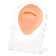 Soft Silicone Mouth Flexible Model Body Part Displays with Acrylic Stands, Jewelry Display Teaching Tools for Piercing Suture Acupuncture Practice, Saddle Brown, Stand: 5.05x8x10.5cm, Silicone Mouth: 72x61x24mm(ODIS-WH0002-22)